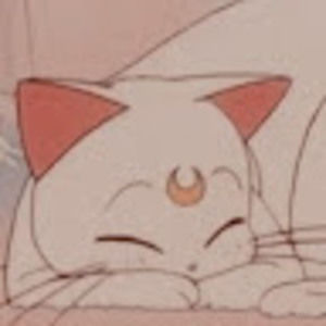 Meet your Posher, Autumn